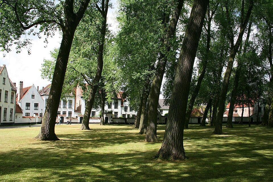 Begijnhof (Princely Beguinage Ten Wijngaerde)