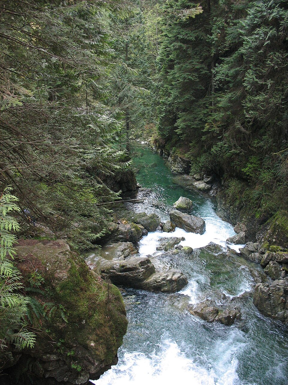 Lynn Canyon Park and Suspension Bridge